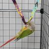 Hamster Climbing Ladder Honey Bag Squirrel Climbing Rope Bird Toy Parrot Colored Cotton Rope Standing Pole Suspension Bridge