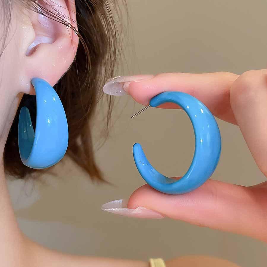 French Retro Silver Needle Round Flat Round Resin Fringed Earrings Light Luxury High-end Earrings Versatile Earrings