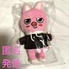 [USED] SKZOO DWAEKKI Plush Toy