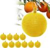 Spherical Hanging Fruit Fly Bait for Outdoor Orchards, Yellow Sticky Bait, Pack of 10, Suitable for Home Gardens, Farms, Fruit Trees and Gnats.