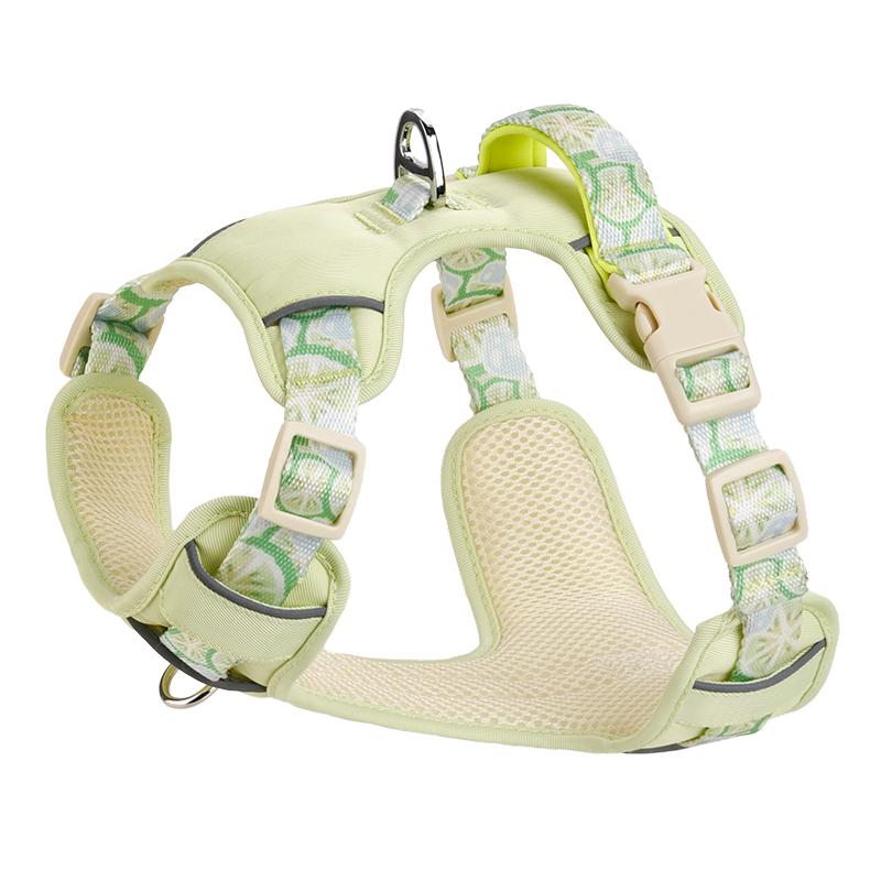 Custom Adjustable Neoprene Luxury Fruit Pattern Printed Webbing Breathable Comfortable Hook Loop Closure Hand Wash Dog Harness S