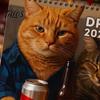 Dekorativní závěsný kalendář do kuchyně 2027 Kalendář opilých koček, Vtipná stěna s 12 humornými kočičími scénami Veselá ilustrace pití, Měsíční