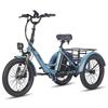 Bicicletă electrică de marfă Fafrees 20" F20 Mat Motor 250W Pliabilă E-Bike Viteză maximă 25km/h Afișaj LCD 48V 20Ah Frână hidraulică dublă Sarcină maximă 180Kg