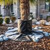Reusable Frost Protection Kit Palm Tree Root Protector 3-Layer Winter Freeze Cover with Ground Stakes Insulation Outdoor Garden Bed Wrap for