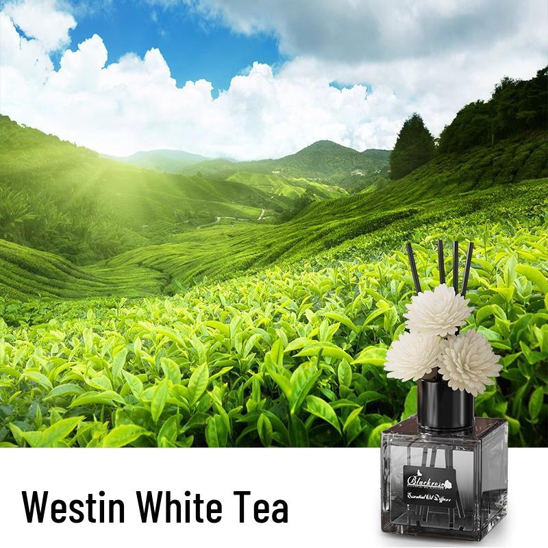 Luxury Long-Lasting Indoor Aroma Oil Air Freshener for Bedroom, Bathroom, and Toilet.