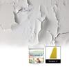 Crème de Réparation Murale Enduits de Réparation pour Plaques de Plâtre Solution Professionnelle pour Réparer les Trous dans les Murs 100g/Bouteille Enduits