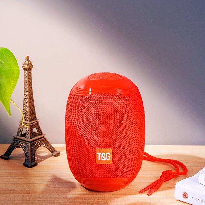 T&G TG529 Portable Bluetooth Speaker