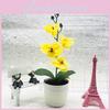 Flower Simulated Four Phalaenopsis Artificial Green Plant Potted Decor Indoor
