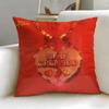 popular singer Kacey Musgraves Cushion Cover Soft  EasyWash Pillow Case  Versatile for Couch Bed Travel and Office