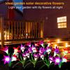 Solar Simulation Lily Flower Outdoor Courtyard Garden Villa Decoration Night Light Home Lawn Floor Lamp