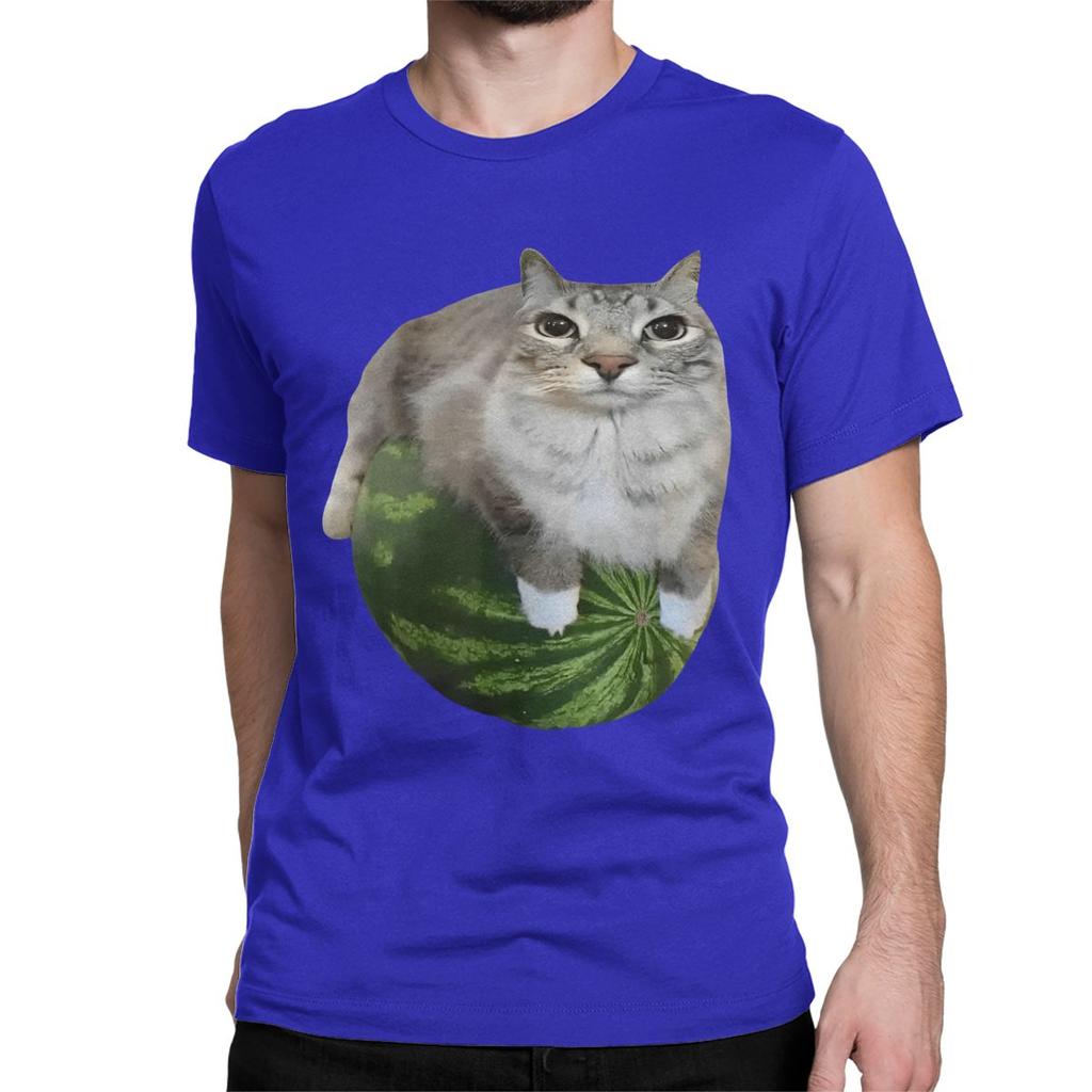 Watermelon Cat Silly T Shirt for Men Women 100 Cotton TShirt Round Collar Funny Meme Tee Shirt Short Sleeve Clothes Plus Size