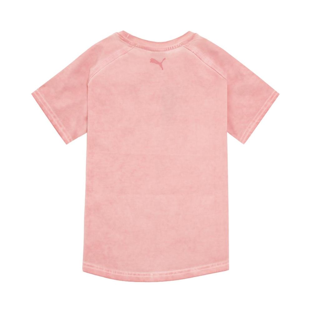 Puma W Moods In Nature Washed Tee 26rosy Outlook 637346
