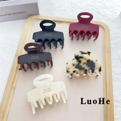 Luohe Jewelry French High Ponytail Hair Clip Korean Acetate Medium Shark Claw