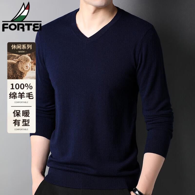 FORTEI Men's 100% Pure Wool V-Neck Pullover Sweater