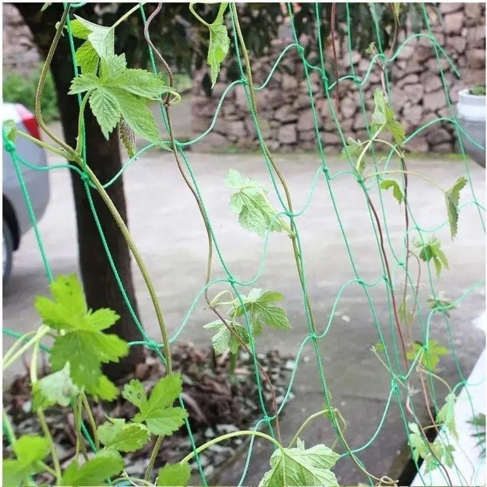 Reusable Climbing Vine Net 2x100 M Vegetable Trellis New Plant Climbing Net  Pond Pool Protection