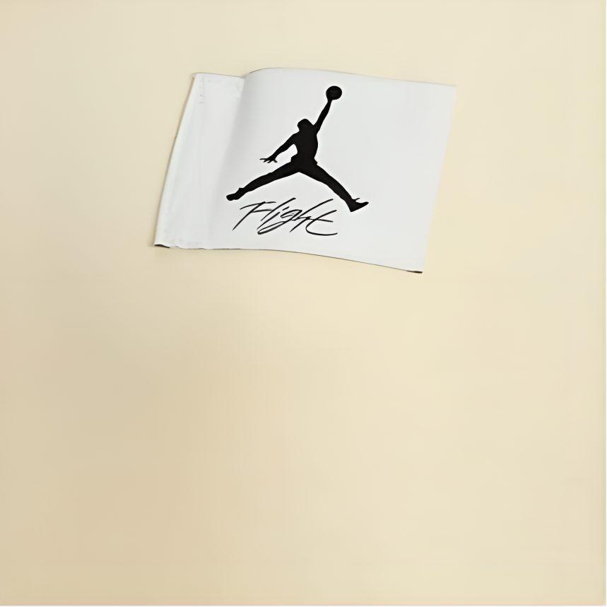 Jordan T Shirt Women's Cotton Fabric White FV1133-118