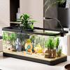 Acuario Casero Popular: Tanque de escritorio ecológico para tortugas y peces dorados con tapa