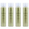Set of 4 Nakano Curl-X Glamorous Curl Spray, Hard Type, 180g