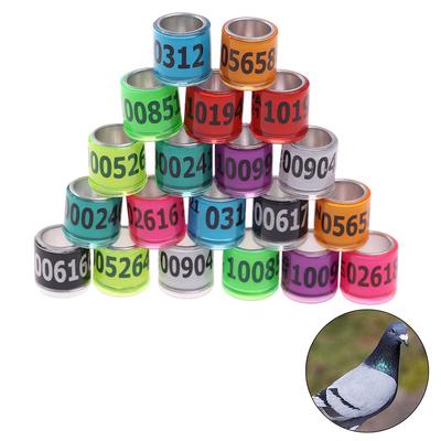 20 Pcs Pigeon Foot Ring With Word Earrings 2021 Multicolor Bird Tools