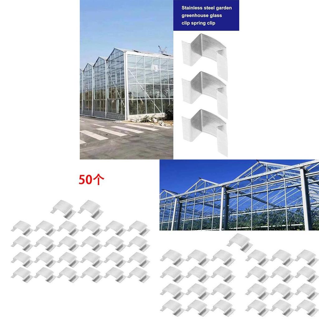 Metallische Gewächshausglas-Federklammern mit Edelstahl-G-Form für die Heimreparatur