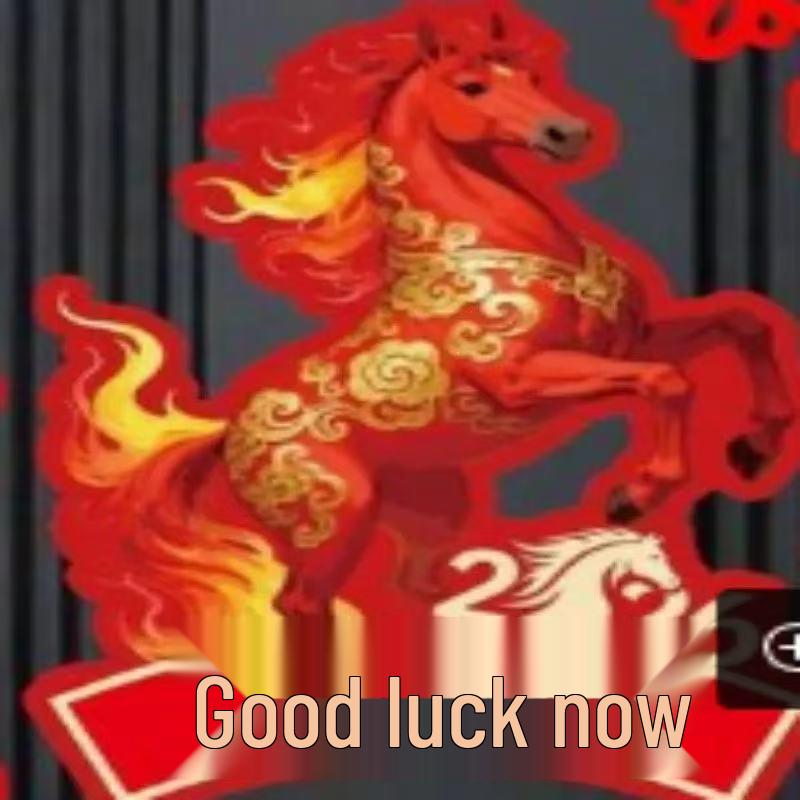 2026 Year of the Horse Magnetic Fu Character Door Stickers - New Year Flocking Spring Festival Couplets Decoration