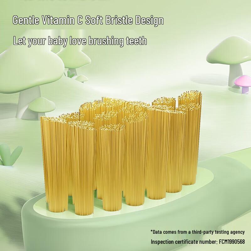 FLYCO Children's Sonic Electric Toothbrush CN plug (adapter included)