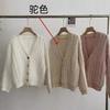 Small fresh fringed v-neck sweater jacket women's autumn and winter thickened warm soft ufu imitation mink knitted cardigan top