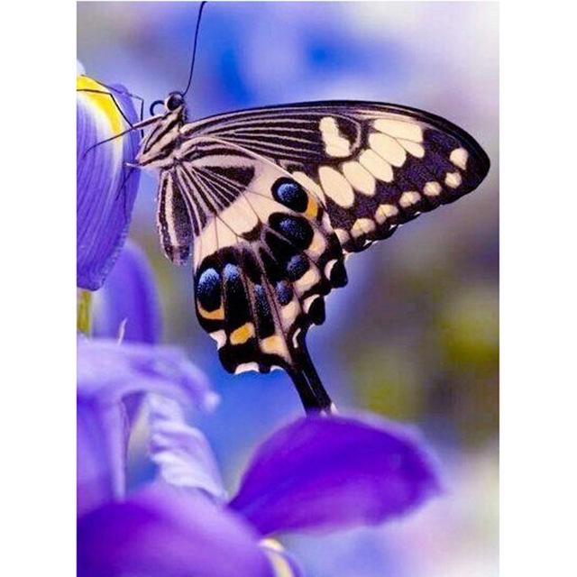 DIY 5D Diamond Painting Butterfly Full Round Drill Diamond Embroidery Flowers Cross Stitch