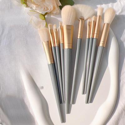 A Complete Set of 10 Super Soft Pilose Makeup Brushes