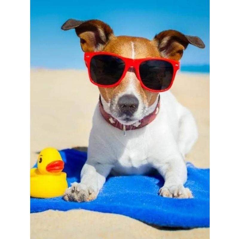 5D-Diamantmalerei zum Selbermachen, fröhlicher cooler Strandhund, Diamantstickerei, Kreuzstich-Set, voller Strass, Mosaik, Heimdekoration