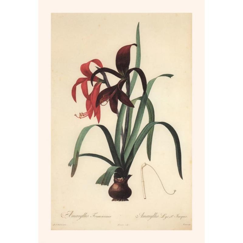 Vintage Botanical Posters Canvas Painting And Prints Classic Wall Art Picture for Living Room Office Home Decor Frameless Gift