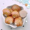 8pcs AB Resin Colorful Flower Shell Figurines Flat Back Cabochon Stone Scrapbook Home Crafts DIY Jewelry Making Accessories