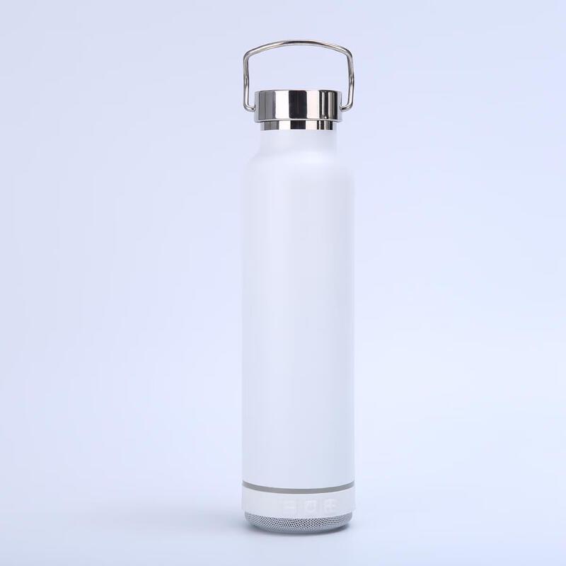 MRSIKEY Stainless Steel Insulated Water Bottle