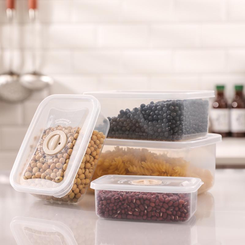 Square & Round Plastic Lunch Containers Set - Sealed, Compartmentalized, Freshness-Preserving Storage Boxes.