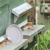 Entrance Feeders Perforated Metal Mason Jar Lids Beehive Waterer Honey Canning Feeder Beekeeping Supplies Durable