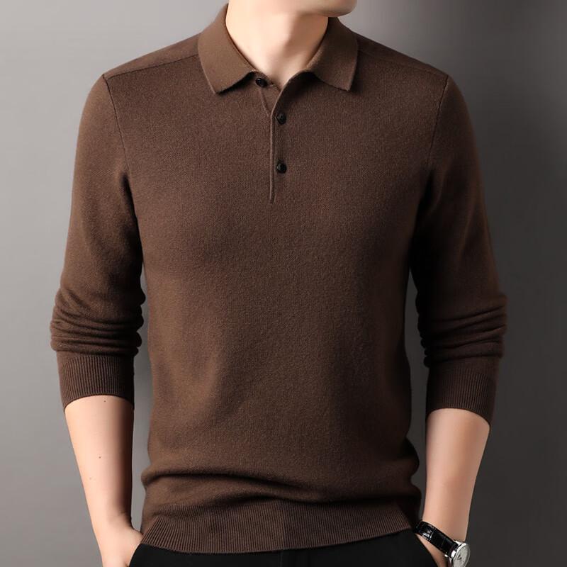 Men's 100% Pure Wool Polo Sweater