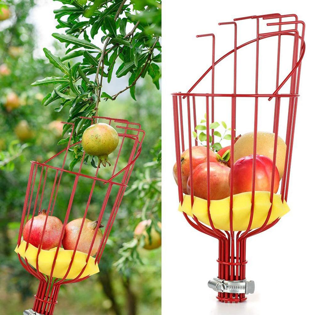 Fruit Pick Basket Telescoping Pole Tool Fruit Picking Equipment for Garden
