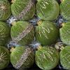 12 8cm Christmas Hanging Ornaments Decorations, Decorative Balls for Home, Festivals,
