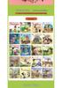 Pictorial Idiom Storybook with Pinyin for Grades 1-3
