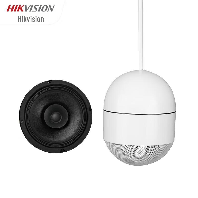 HIKVISION Pendant Ceiling Speaker