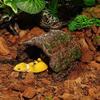 Hollow Tree Hole Shelter Simulation Reptile Cave Multi-functional Reptile Hideout  Pet Breeding