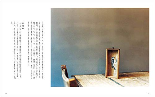 Plants, Trees, Birds and Bird Patterns (Fukuinkan Paperback)