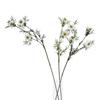 Hill Interiors The Natural Garden Collection Love In A Mist Nigella Artificial Flower
