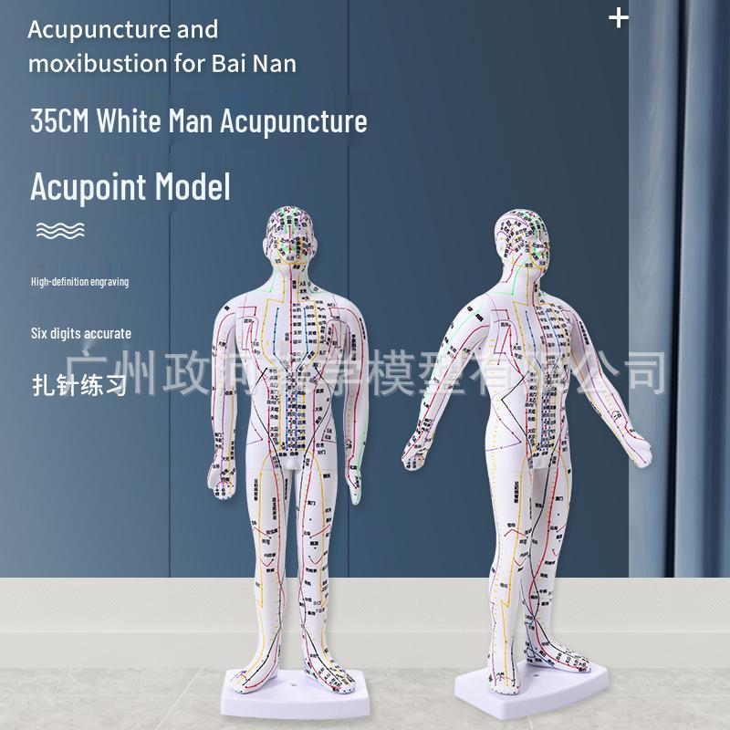 Compact Copper Acupoint Model for Needle Practice: Human Body, Hand, Foot, Ear 35 cm