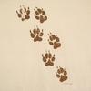 OLD 90s Footprint Short Sleeve T-shirt Cream Single Stitch Men's Used