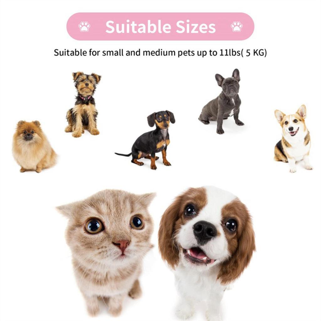 Retractable Dog Leash Automatic Freely  Puppy Cat Traction Rope Belt Dog Leash for Puppy and Kitty Pet Leash