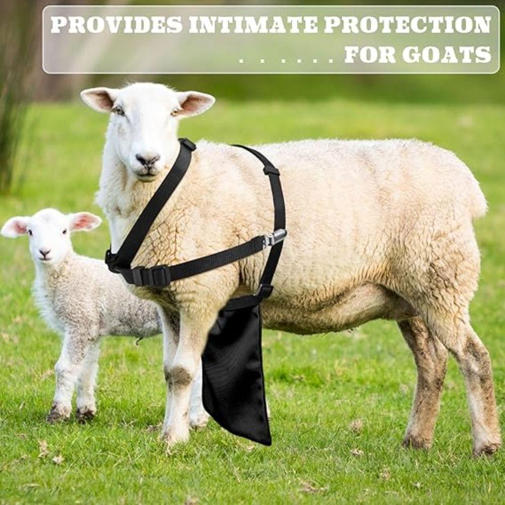 Breathable Breeding Control Goats Skirt Wear Resistant Anti Mating Sheep Skirt Livestock Accessory