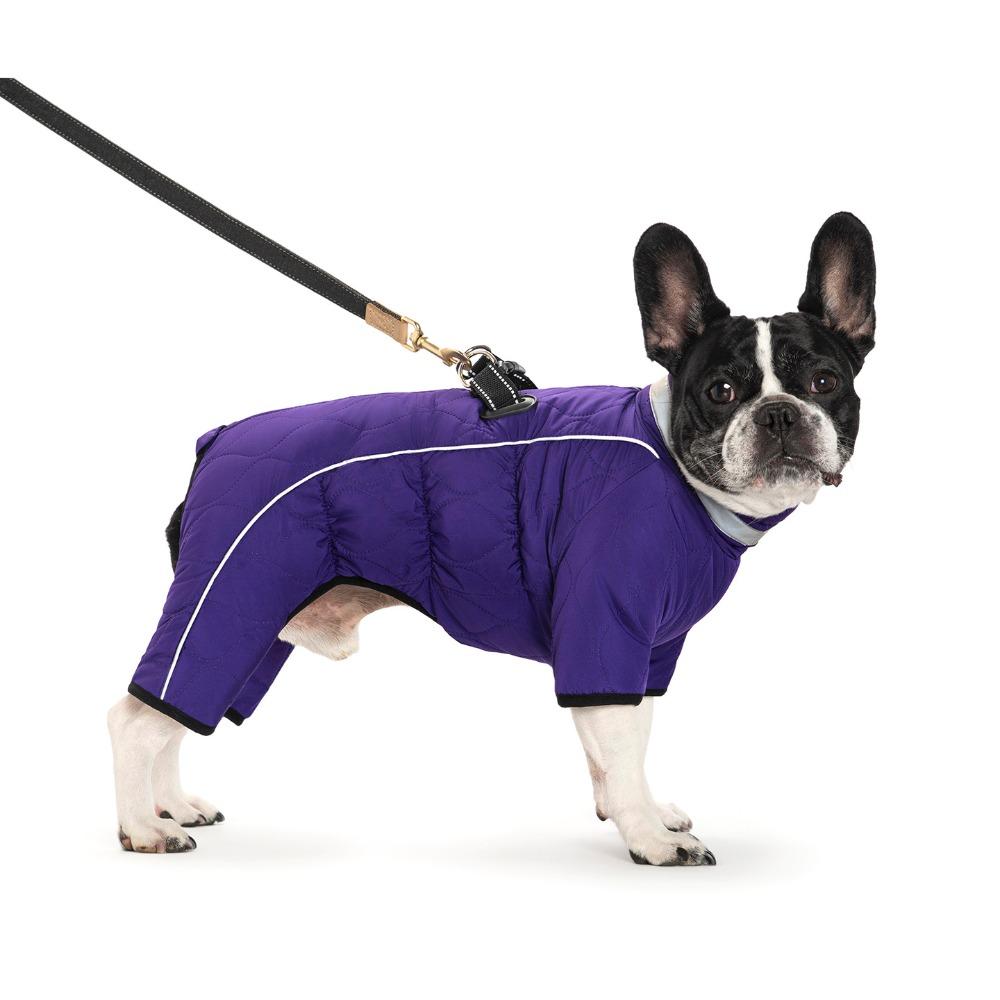 Pet Clothes Autumn and Winter New Small, Medium and Large Dog Ski Suit with Traction Buckle Big Dog Golden Retriever Warm Four-legged Jacket