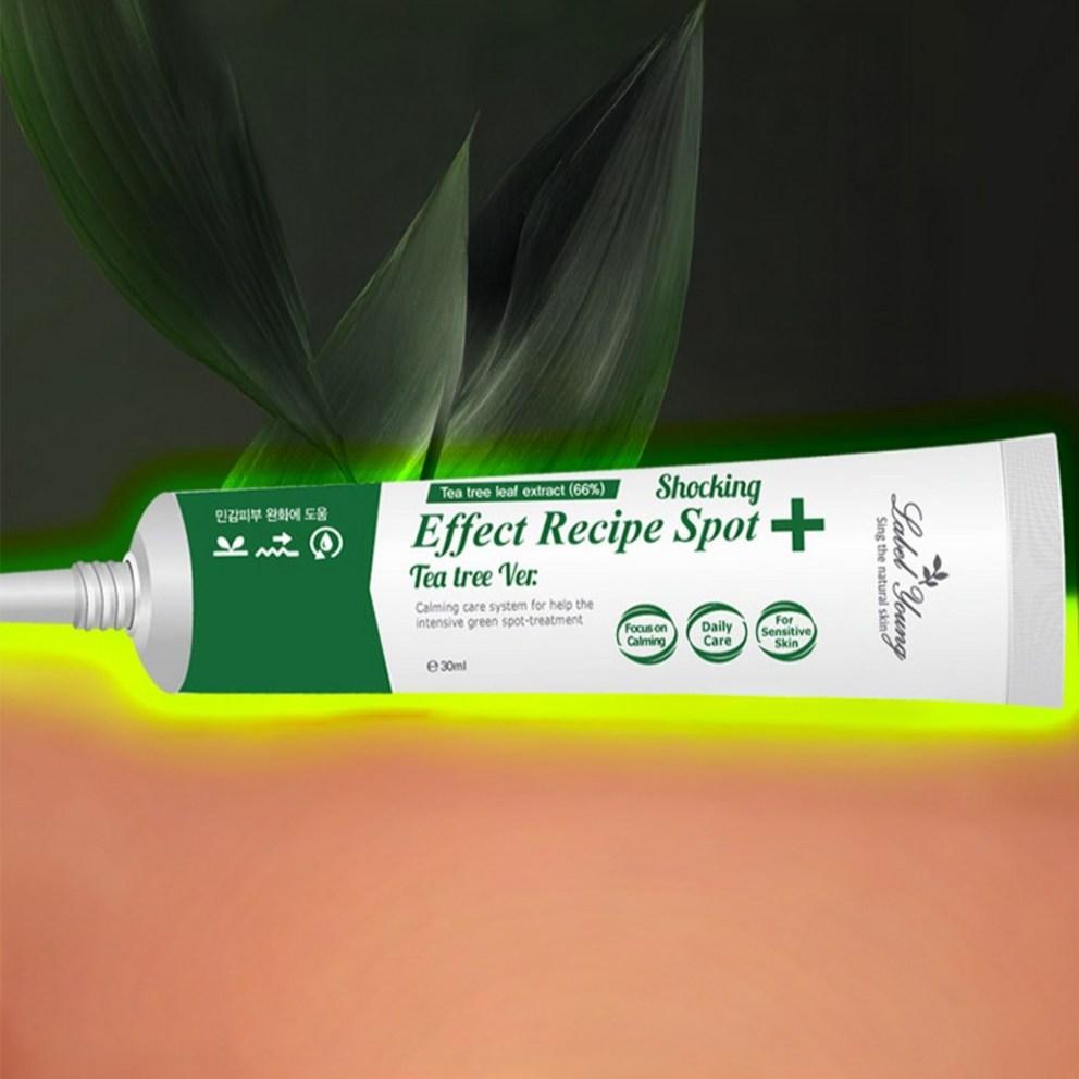 Labelyoung Shocking Effect Recipe Tea Tree Spot, 30ml, 2ea