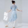 Butterfly Classical Dance Top Cheongsam Neck Dance Mesh Top Fashion Gauze Mesh Shirt  Women